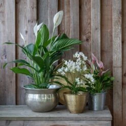 Hand Etched Aluminium Planter -Ever Bloom Gardens pr2000028556 card9 lg