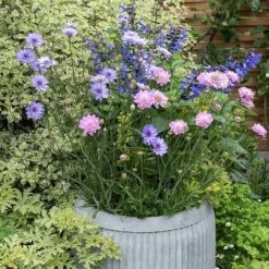 Zinc Dolly Tub Planter -Ever Bloom Gardens pr2000028721 card4 lg