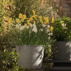 Ribbed Zinc Planter -Ever Bloom Gardens pr2000028781 card3 lg