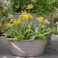 Ribbed Zinc Planter -Ever Bloom Gardens pr2000028781 card6 lg