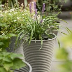 Ribbed Zinc Planter -Ever Bloom Gardens pr2000028781 card7 lg