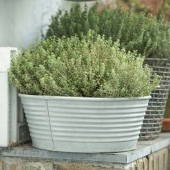 Ribbed Zinc Planter -Ever Bloom Gardens pr2000028781 card8 lg