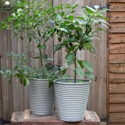 Ribbed Zinc Planter -Ever Bloom Gardens pr2000028781 card9 lg