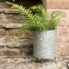 Galvanised Planter On Legs -Ever Bloom Gardens pr2000028785