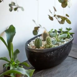 Rough Cast Aluminium Bowl - Charcoal Black -Ever Bloom Gardens pr2000028887 card3 lg