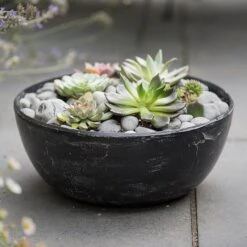 Rough Cast Aluminium Bowl - Charcoal Black -Ever Bloom Gardens pr2000028887 card7 lg