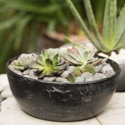 Rough Cast Aluminium Bowl - Charcoal Black -Ever Bloom Gardens pr2000028887 card8 lg