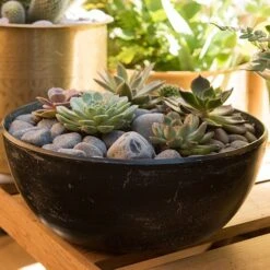 Rough Cast Aluminium Bowl - Charcoal Black -Ever Bloom Gardens pr2000028887 card9 lg