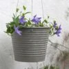 Hanging Aged Ribbed Planter -Ever Bloom Gardens pr2000031414