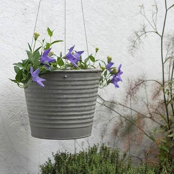 Hanging Aged Ribbed Planter 4 Hanging Aged Ribbed Planter - Image 2