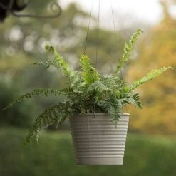 Hanging Aged Ribbed Planter 14 Hanging Aged Ribbed Planter -Ever Bloom Gardens pr2000031414 card5 lg