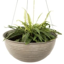Hanging Aged Ribbed Bowl -Ever Bloom Gardens pr2000031455 card3 lg