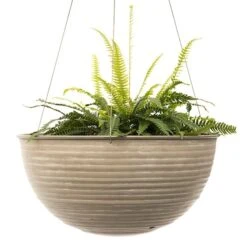 Hanging Aged Ribbed Bowl -Ever Bloom Gardens pr2000031455 card4 lg