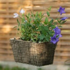 Rectangular Net Hanging Basket -Ever Bloom Gardens pr2000031461 card3 lg