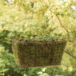 Rectangular Net Hanging Basket -Ever Bloom Gardens pr2000031461 card4 lg