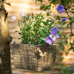 Rectangular Net Hanging Basket -Ever Bloom Gardens pr2000031461 card7 lg