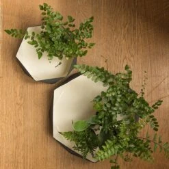 Enamelled Geo Metal Plant Tray -Ever Bloom Gardens pr2000031479 card2 lg