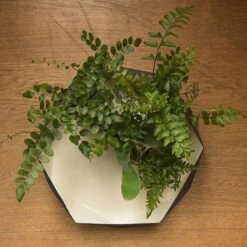 Enamelled Geo Metal Plant Tray -Ever Bloom Gardens pr2000031479 card4 lg