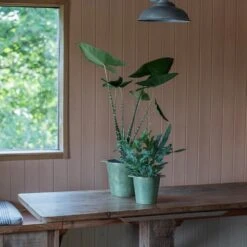 Cast Aluminium Pot Cover With Verdigris Patina -Ever Bloom Gardens pr2000031480 card5 lg