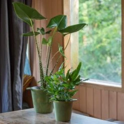 Cast Aluminium Pot Cover With Verdigris Patina -Ever Bloom Gardens pr2000031480 card6 lg