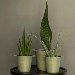 Cast Aluminium Pot Cover With Verdigris Patina -Ever Bloom Gardens pr2000031480 card8 lg