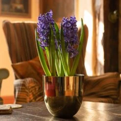 Polished Brass Pot Cover -Ever Bloom Gardens pr2000031483 card4 lg