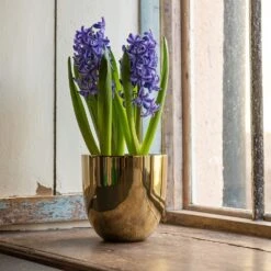 Polished Brass Pot Cover -Ever Bloom Gardens pr2000031483 card5 lg