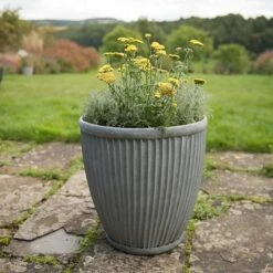 Tall Antique Zinc Dolly Pot 7 Tall Antique Zinc Dolly Pot -Ever Bloom Gardens pr2000031491 card3 lg