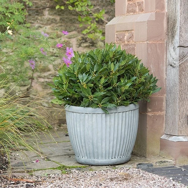 Zinc Dolly Pot 3 Zinc Dolly Pot - Image 2