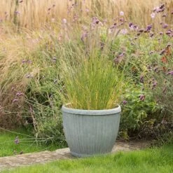 Zinc Dolly Pot 11 Zinc Dolly Pot -Ever Bloom Gardens pr2000031492 card3 lg