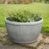 Zinc Dolly Bowl -Ever Bloom Gardens pr2000031493