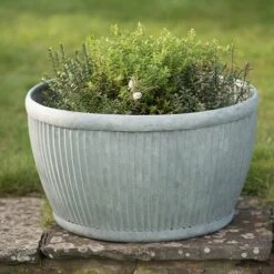 Zinc Dolly Bowl -Ever Bloom Gardens pr2000031493 card3 lg