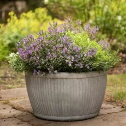 Zinc Dolly Bowl -Ever Bloom Gardens pr2000031493 card5 lg