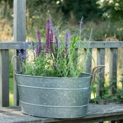 Galvanised Trough For Plants Or Drinks 14 Galvanised Trough For Plants Or Drinks -Ever Bloom Gardens pr2000031501 card6 lg