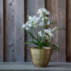 Solid Etched Brass Pot Cover -Ever Bloom Gardens pr2000031507 card5 lg