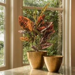 Solid Etched Brass Pot Cover -Ever Bloom Gardens pr2000031507 card8 lg