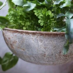 Ever Bloom Gardens -Ever Bloom Gardens pr2000031843 card2 lg