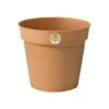Basic Growpot Terracotta -Ever Bloom Gardens pr2000032277