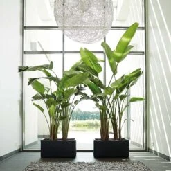 Pure Soft Brick Long Wheels Anthracite -Ever Bloom Gardens pr2000032307 card2 lg