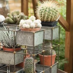 Plant Tower -Ever Bloom Gardens pr2000033922 card5 lg