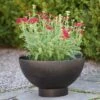 Iron Bowl Planter 1 Iron Bowl Planter -Ever Bloom Gardens pr2000033929