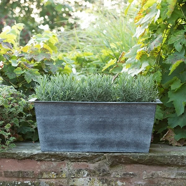 Plant Trough - Aged Zinc 7 Plant Trough - Aged Zinc - Image 5