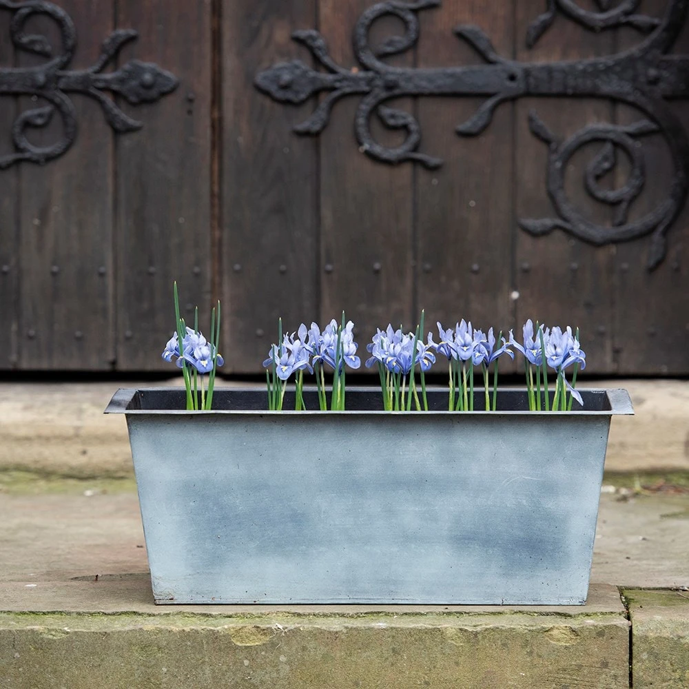 Plant Trough - Aged Zinc 9 Plant Trough - Aged Zinc - Image 7
