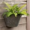 Galvanised Wall Planter -Ever Bloom Gardens pr2000033943