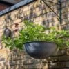 Hanging Bowl - Aged Zinc -Ever Bloom Gardens pr2000033957