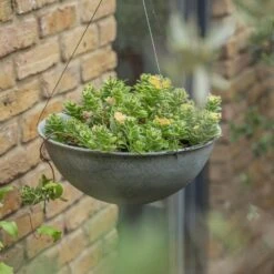 Hanging Bowl - Aged Zinc 13 Hanging Bowl - Aged Zinc -Ever Bloom Gardens pr2000033957 card6 lg