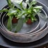 Pot Trays Aged Zinc - Set Of 3 -Ever Bloom Gardens pr2000033959