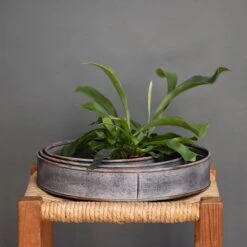 Pot Trays Aged Zinc - Set Of 3 -Ever Bloom Gardens pr2000033959 card3 lg