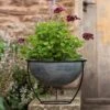 Plant Bowl And Stand - Aged Zinc -Ever Bloom Gardens pr2000033963