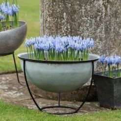 Plant Bowl And Stand - Aged Zinc -Ever Bloom Gardens pr2000033963 card5 lg